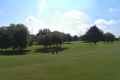 Ardee Golf Club
