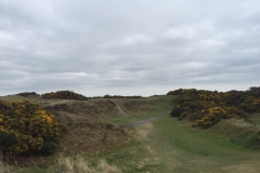 IMG-20160320-WA0024