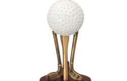 Hollystown G.C. February 2015 Winner - Robert Byrne